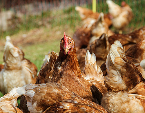 Wie aus 15 Prozent plötzlich 80 Prozent werden